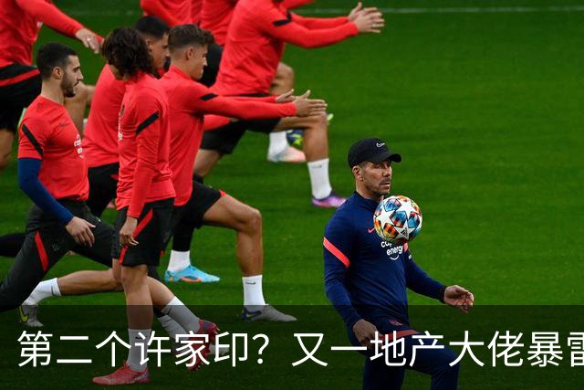 第二个许家印?又一地产大佬暴雷,涉案超200亿,现已被立案调查